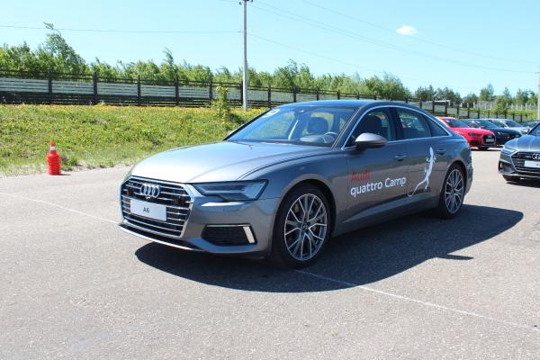  Audi       ,  Audi quattro Camp 2019   - 3